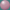 oas_web011010.gif